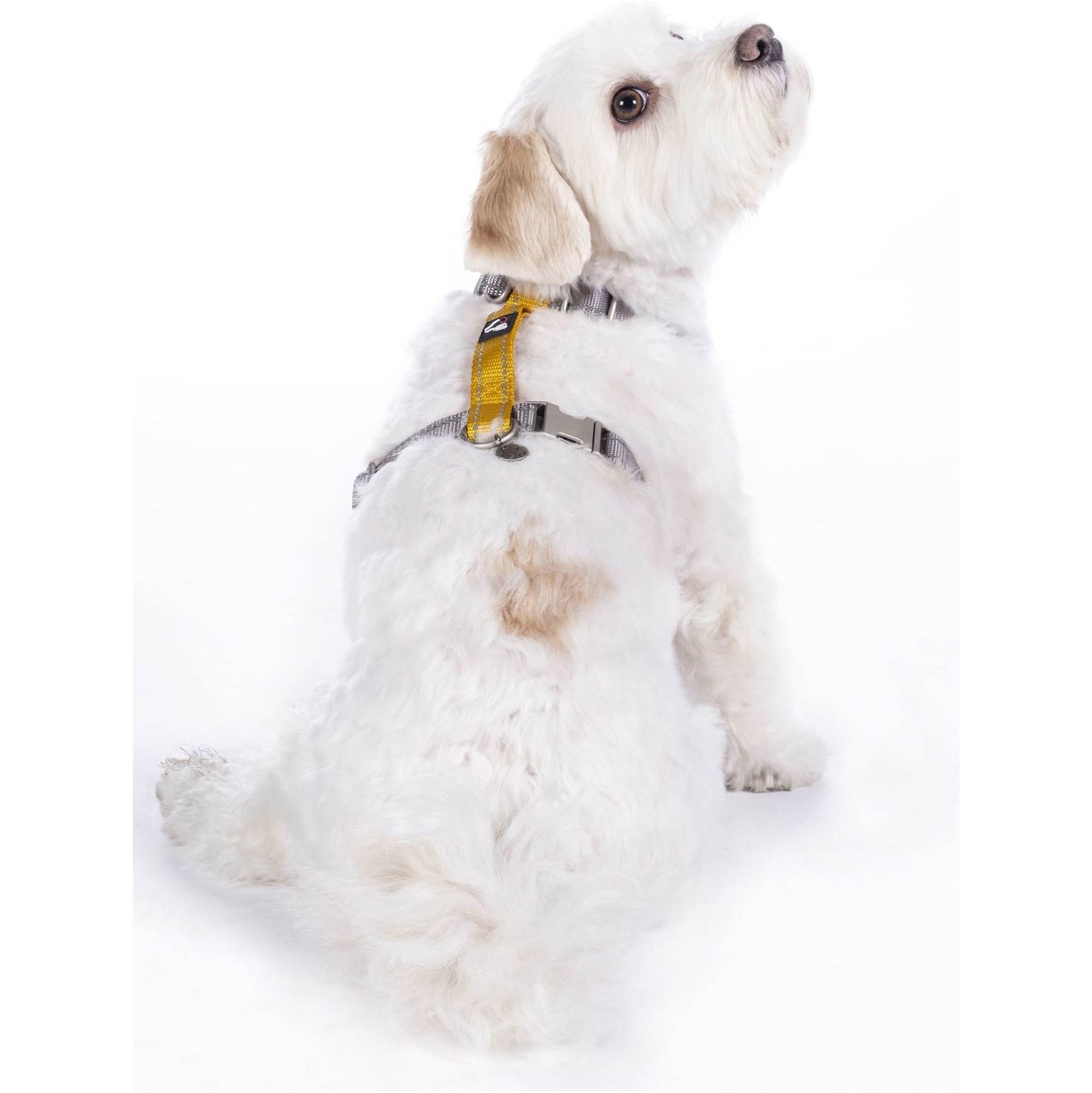 Hkm Nylon Hundegeschirr 13730 - Taupe / Gelbgold